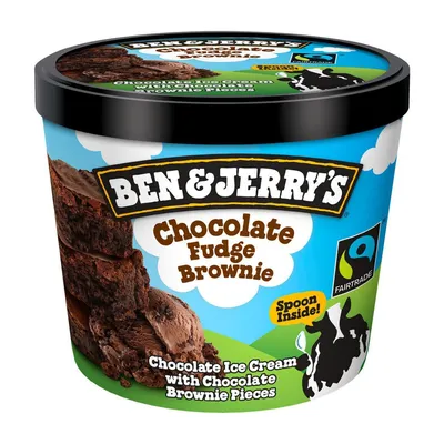 Ben & Jerry's Chocolate Fudge Brownie 100ml